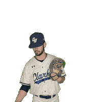 Clarke Baseball Sticker by Clarke University