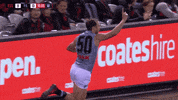 Celebration Goal GIF by Port Adelaide FC