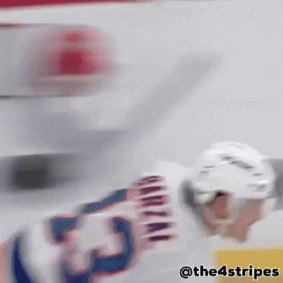 Hockey Nhl GIF