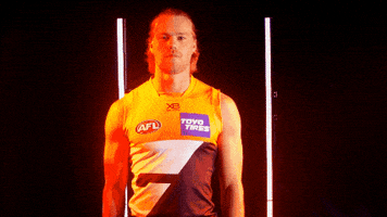 celebration GIF by GIANTS