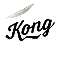 Kong_Screenprinting design texas austin shirt Sticker