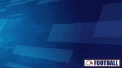 Snipe GIF by Carson-Newman Athletics