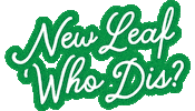 New Leaf Plants Sticker