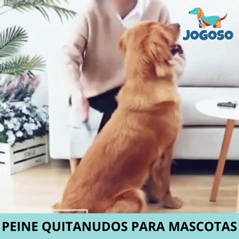 laurabermudeztapias giphygifmaker GIF
