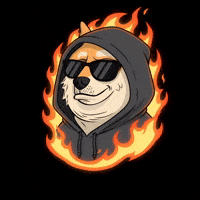 On Fire Deal With It GIF by Doge Pound