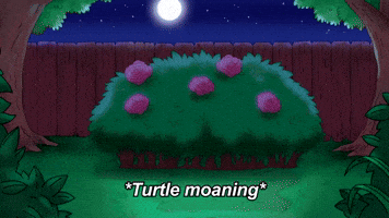 Turtle Moans | Season 1 Ep. 1 | HOUSEBROKEN