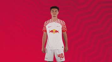 Oh Yeah Yes GIF by RB Leipzig