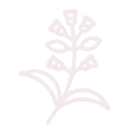 For You Flower Sticker by True Botanicals