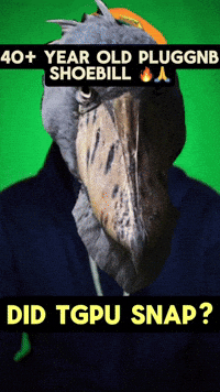 Shoebill Stork GIF
