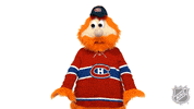 Ice Hockey Ok GIF by NHL