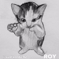 Cat Dancing GIF