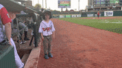 Minor League Baseball Dance GIF by Lansing Lugnuts