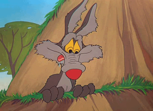 Cartoon gif. Wile E. Coyote perches over a brown rock and stares hungrily at something. His red tongue licks all across his snout and is so flexible that it even curls over his eyeballs.