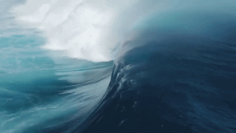 water sports sport GIF by World Surf League