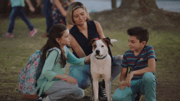 spring fever love to the rescue GIF by Hallmark Channel