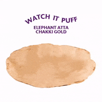 Elephantattaofficialbrand sun cooking sunshine sunny GIF