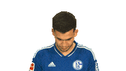 Schalke S04 Sticker by Bundesliga