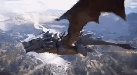 Insight_video giphyupload GIF