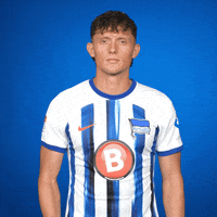 Blauweiss GIF by Hertha BSC