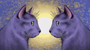 Valentines Day Love GIF by Electric Catnip