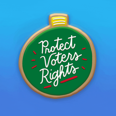 Happy Voting Rights GIF by INTO ACTION