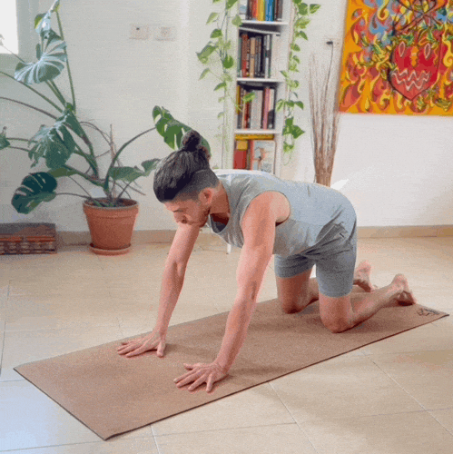 Idan_K giphyupload GIF