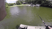 GIF by Karl's Bait & Tackle