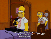 homer simpson GIF