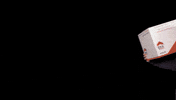 Makelaardij Polonaise GIF by De Koning Makelaars
