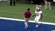 LafayetteLeopards football leopard lafayette leopards GIF