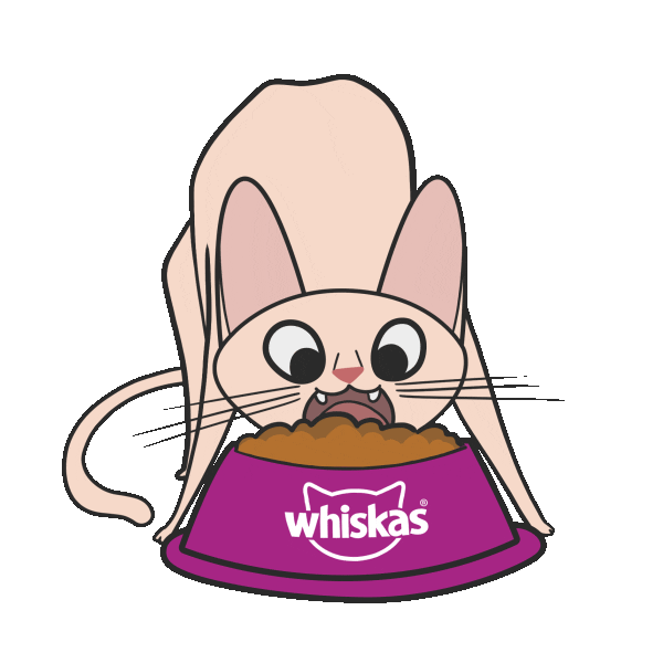 Cat Racao Sticker by Whiskas Brasil