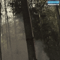 Martial Arts Fighting GIF by Arrow Video