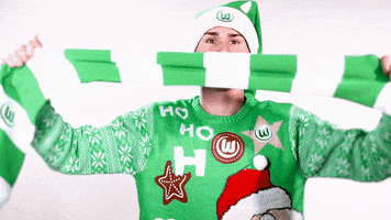 felix klaus football GIF by VfL Wolfsburg