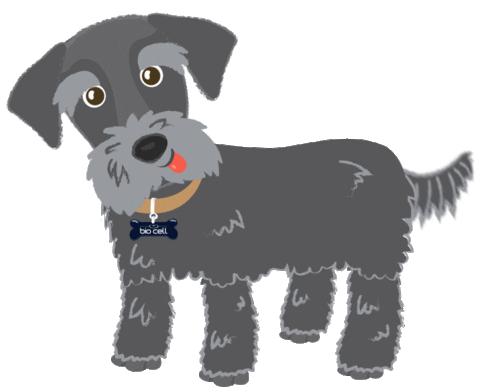 biocell giphyupload biocell celulastroncobiocell celulastronco Sticker