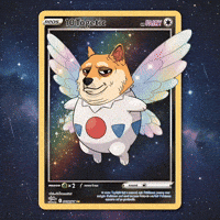 Floating Shiba Inu GIF by Doge Pound