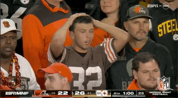 Regular Season No GIF by NFL