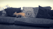 post bathtime GIF
