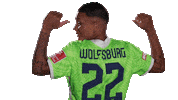 Van De Sanden Football Sticker by VfL Wolfsburg