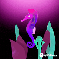 Sea Creature Love GIF by Millions