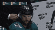 ice hockey cat GIF by NHL