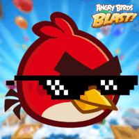GIF by Angry Birds