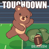 Super Bowl Win GIF by BEARISH