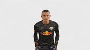 The Wall No GIF by RB Leipzig