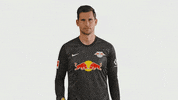 Not In My House No GIF by RB Leipzig