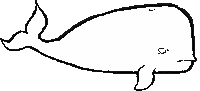 whale STICKER