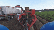 ASA-LIFT vegetables harvest onion carrots GIF