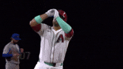 Celebrate Arizona Diamondbacks GIF by MLB
