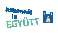 Matematika Közösség Sticker by Medve Matek