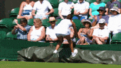 tennis GIF by Wimbledon