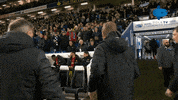 Handshake Deal GIF by MolaTV